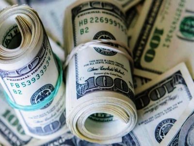Tras una semana movida: ¿a cuánto cerró el dólar blue el viernes?