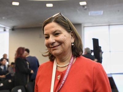 "Inusual", visita del director de la CIA a México: Martha Bárcena