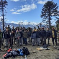 Más de 100 voluntarios plantaron 3600 araucarias en laderas del lago Ñorquinco