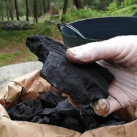 Cómo utilizar el carbón para fertilizar tus plantas y que se vuelvan más verdes, brillantes y rozagantes