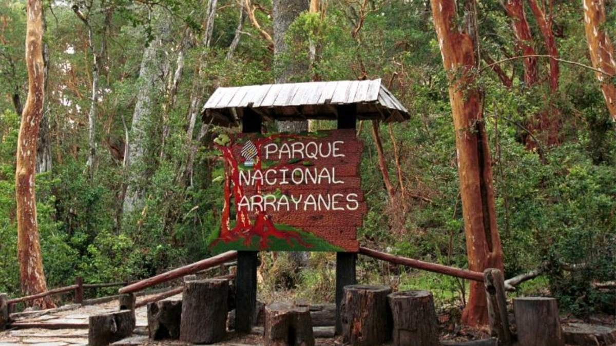 Parque Nacional Los Arrayanes. Fuente: (Twitter)