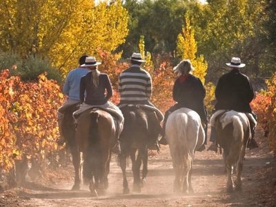 Encuestan a consumidores del vino para repensar el Enoturismo nacional