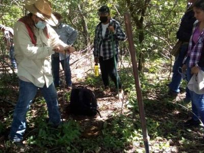 Logran que ONU emita acciones urgentes por desaparecidos en Nayarit y se informe de nexos con Veytia
