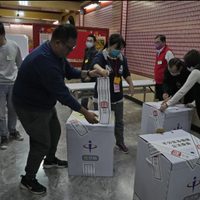 El año electoral