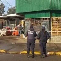Murió en la reja al intentar entrar a robar en una verdulería de Allen