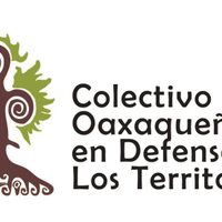 La consulta violará derechos indígenas: ONG de Oaxaca