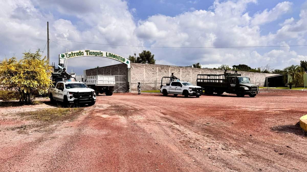Más de 600 elementos del Ejército Mexicano así como de la Guardia Nacional, fueron enviados a cuidar a productores de limón