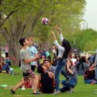 Llegó la primavera: qué opciones hay para celebrar este día en Neuquén Capital
