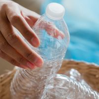 Con 1 botella de plástico, creá este dispositivo para que tus plantas crezcan sin parar