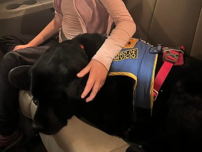 Denuncian discriminación contra una niña y su perro de asistencia en Portal San Ángel