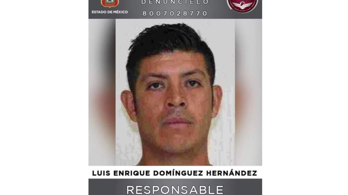 Luis Enrique Domínguez Hernández, alias “El Garzo”