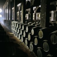 Grandes bodegas españolas buscan transmitir mensaje de esperanza