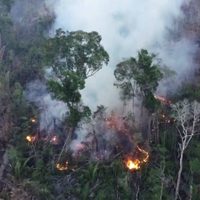 Contra toda prueba, Bolsonaro niega los incendios en la Amazonia