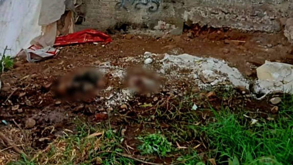 La fosa fue hallada en un inmueble abandonado, ubicado en la calle Los Sabinos de la colonia Buenos Aires