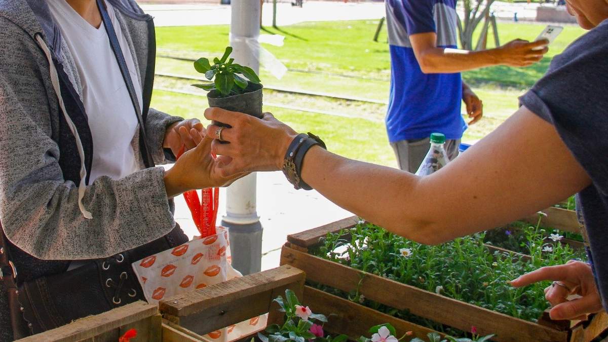 Feria eco canje en Zapala. Fuente: (Twitter)