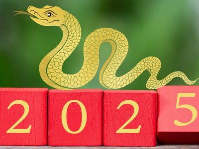 Horóscopo Chino: descubrí qué significa la Serpiente y cómo su energía impacta a los signos del Zodíaco
