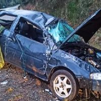 Volcó un auto en la Ruta 40 por esquivar a dos jabalíes