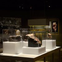 Inauguran exposiciones mexica y maya en el Museo del Templo Mayor