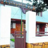 Detuvieron al agresor de un expolicía que intentó parar una pelea en un bar de Zapala