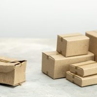 Hermoso y de bajo presupuesto: transformá las cajas de cartón vacías en este original proyecto para decorar tu jardín