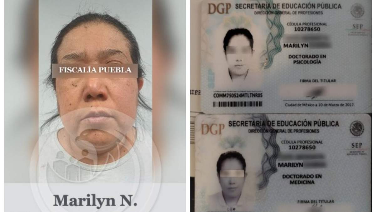 Cédulas profesionales presuntamente falsificadas