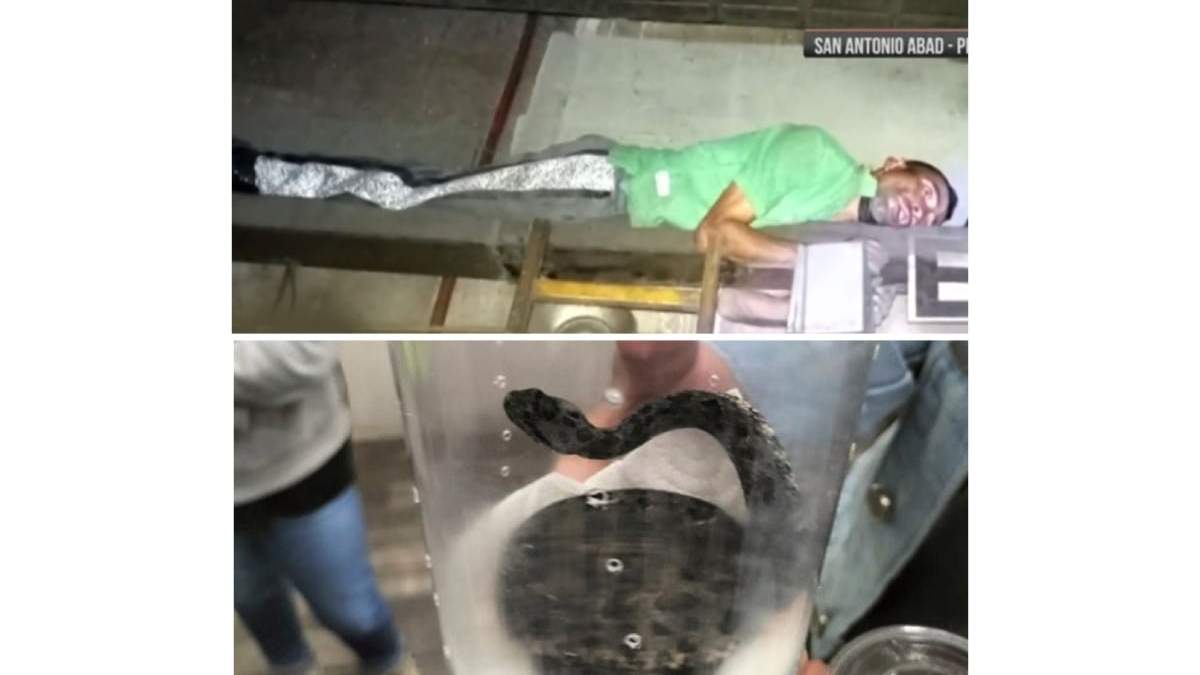 El presunto ladrón y el animal que fue resguardado