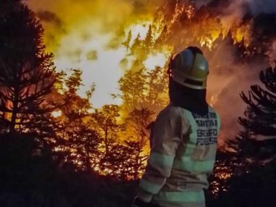 Los incendios y el año electoral