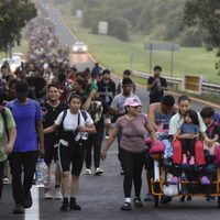 Casi 9 mil migrantes murieron en 2024, el año más letal registrado por la OIM