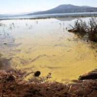 Comuneros exigen diálogo con el gobierno para atender crisis ambiental en el lago de Zirahuén