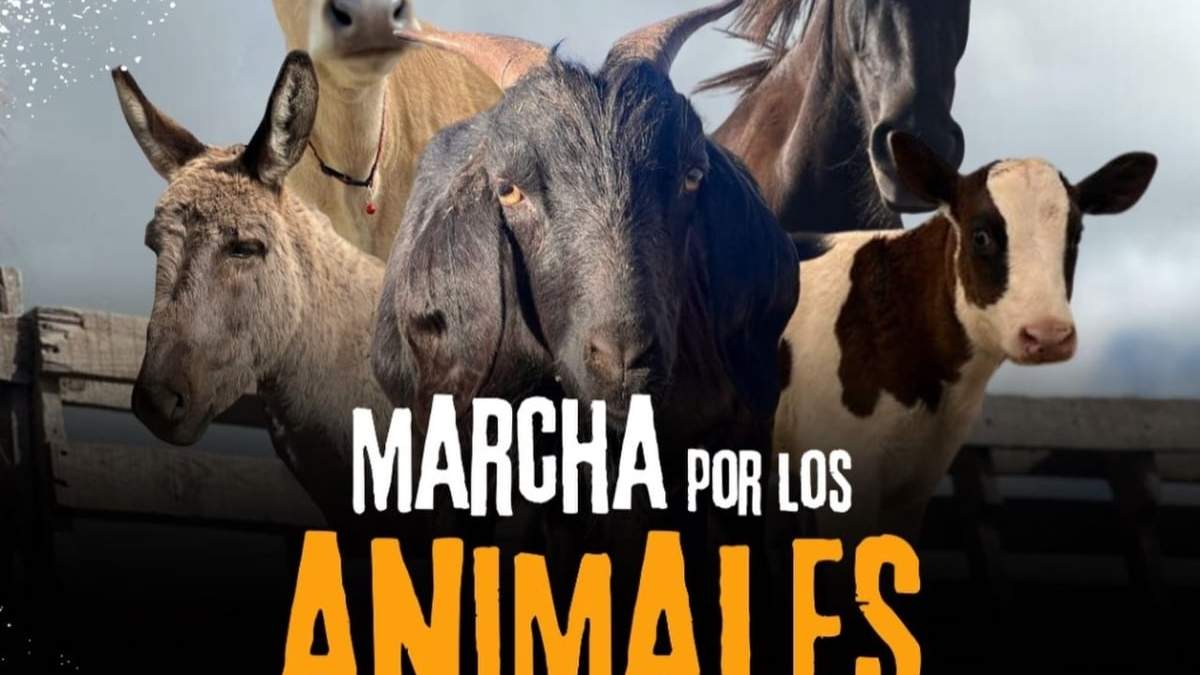 La convocatoria a la marcha por los animales