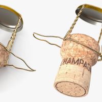 Nunca más tires el alambre de las botellas de sidra, creá este sencillo proyecto para que jamás se vuele tu mantel