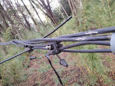 Volvieron a intimar al EPEN y la municipalidad para retirar un cableado que provee electricidad a una comunidad mapuche