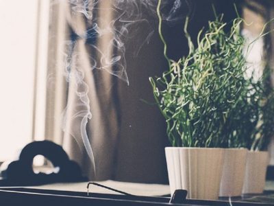 Según el Feng Shui, la planta milagrosa que tenés que usar en este ritual para atraer la fortuna