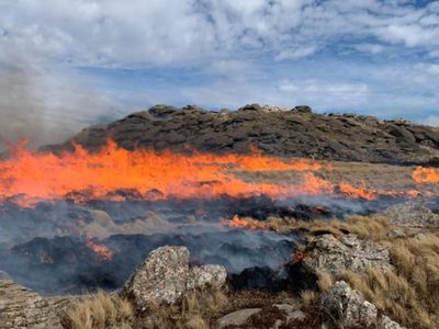 Avanza el incendio en las sierras de Córdoba y ya se han consumido 3500 hectáreas