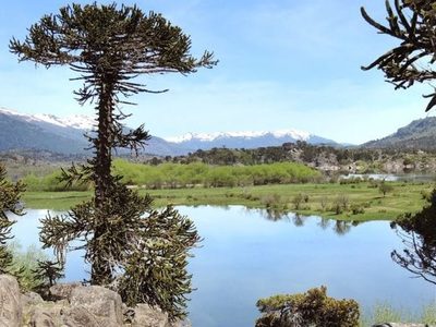 ¡Buenas noticias!: Llegó la solución para Villa Pehuenia y su turismo