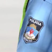 Entraron ilegalmente a una estancia en Junín de los Andes a cazar ciervos