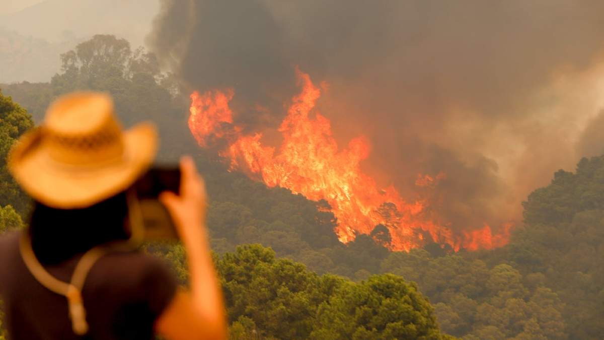 Los incendio forestales en Málaga, al sur de España. Fuente: (Twitter)