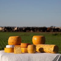 Turismo: escápate un fin de semana para conocer "la ruta del queso", un destino imperdible