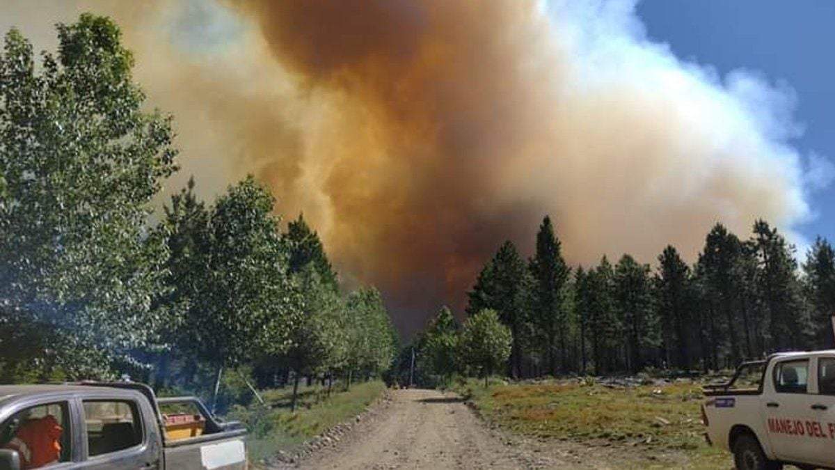 Incendios en Aluminé. Fuente: (Twitter)