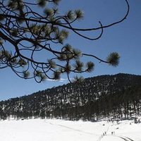 Buscan a 15 jóvenes excursionistas en Tamaulipas