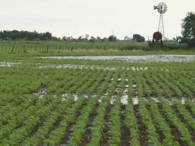 Los productores de Santa Fe perdieron hasta 40 % de sus cosechas por las inclemencias climáticas