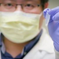 Un anticuerpo que neutraliza el covid-19 es descubierto por científicos en EU