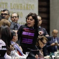 Mexicanos no tienen ahorros suficientes para enfrentar recesión, como dice Hacienda: Ivonne Ortega