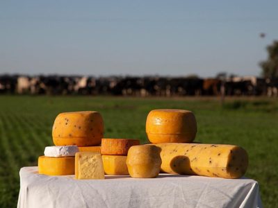 Turismo: escápate un fin de semana para conocer "la ruta del queso", un destino imperdible
