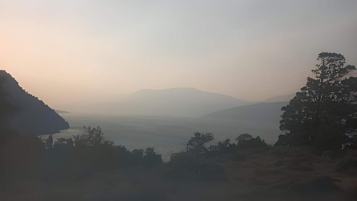 La nube de humo en Zapala. Fuente: (Twitter)