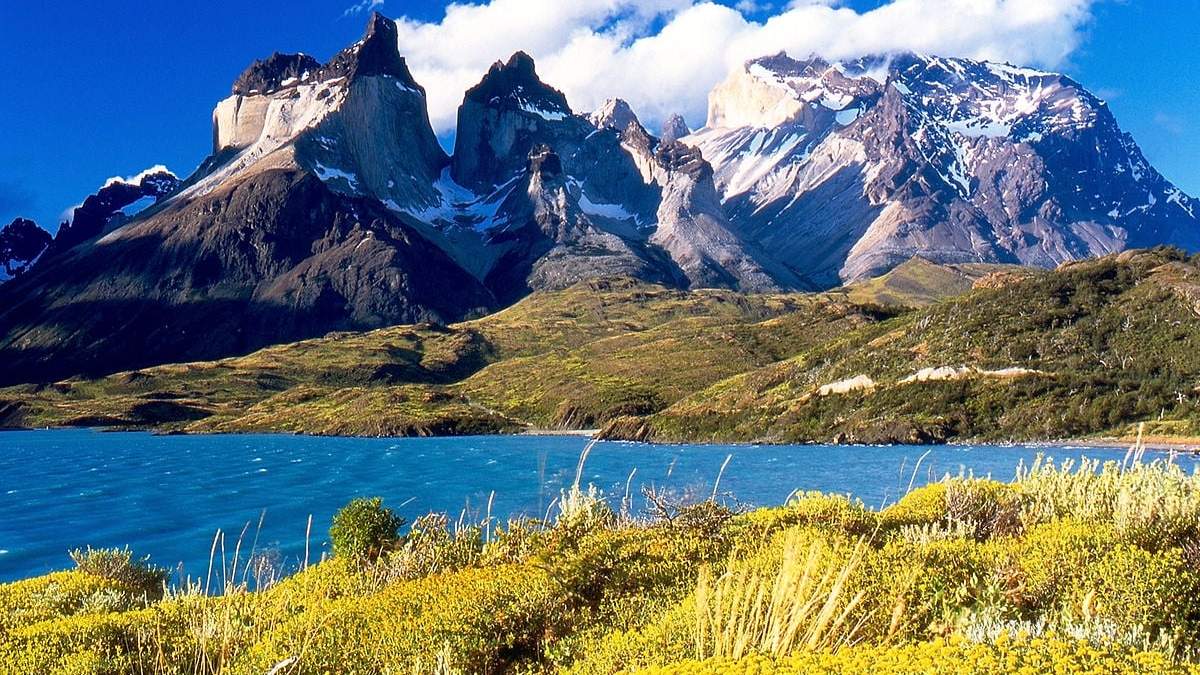 Patagonia. Fuente:(X).