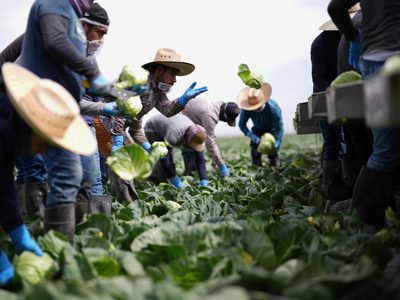 Braceros y migrantes mexicanos, indispensables para EU