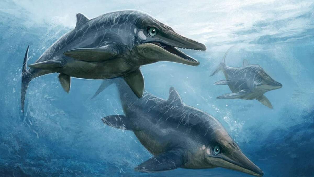 Ictiosaurio. Fuente: (Twitter)