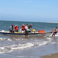 Canainpesca advierte daños por la eliminación de estímulos fiscales