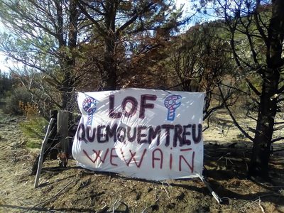 Una comunidad mapuche irrumpió en un campo privado en Río Negro